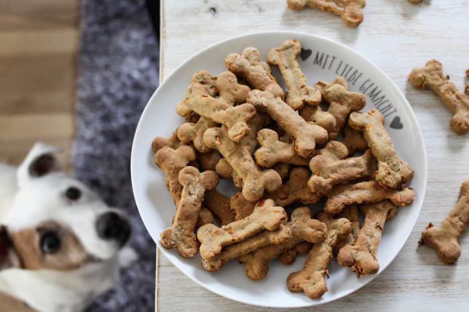 A bowl full of dog treats.